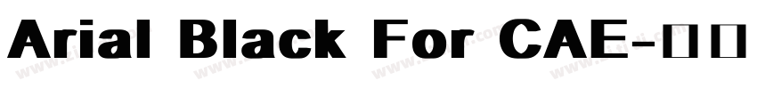 Arial Black For CAE字体转换